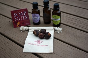 soap nuts basics